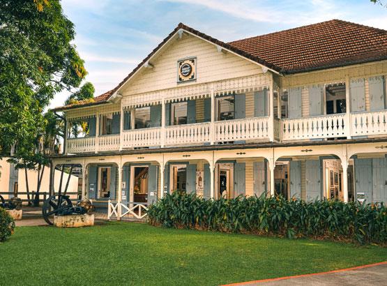 Activité location de voiture