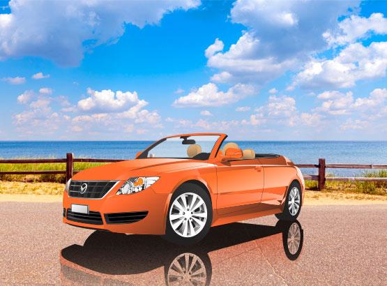 Activité location de voiture