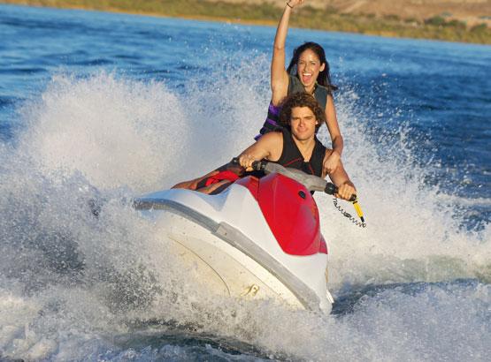 Activité location de voiture