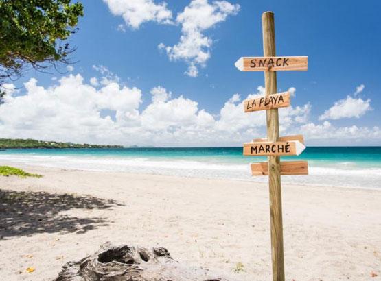 Activité location de voiture