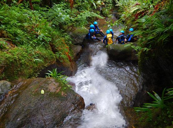 Activité location de voiture