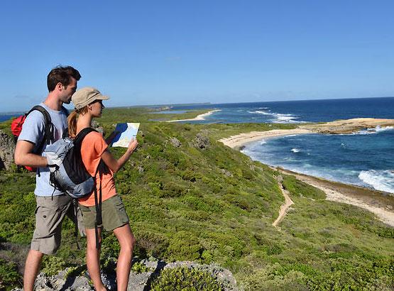 Activité location de voiture