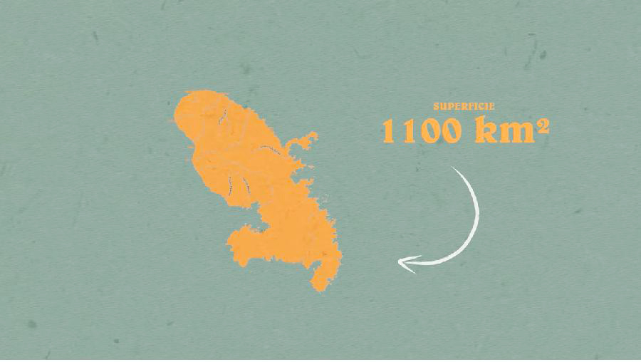 LA MARTINIQUE : 10 CHOSES QUI LA RENDENT UNIQUE !