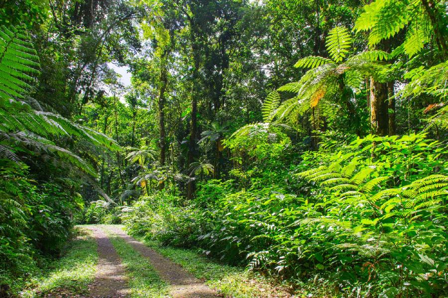 Que faire en Guadeloupe en octobre ? Des expériences incontournables