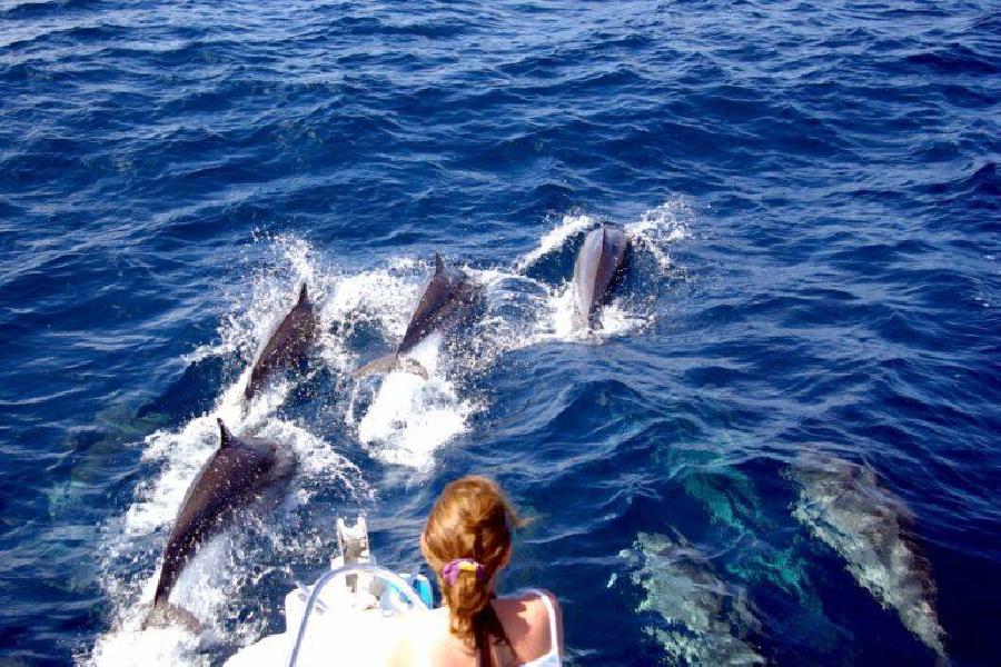 Activités nautiques en Martinique : le guide complet pour profiter de la mer des Caraïbes