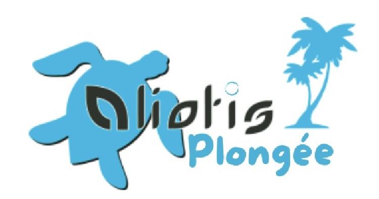 Aliotis est une structure créée en 2004 dans un hôtel en Martinique. 