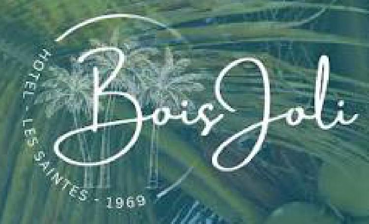 Hôtel BOIS JOLI