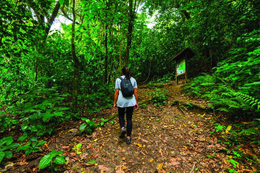Office National des Forêts Martinique - ONF