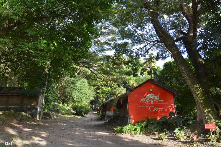 les bâtiments, le cacao, son restaurant et sa boutique. Tout sur l'Habitation Céron