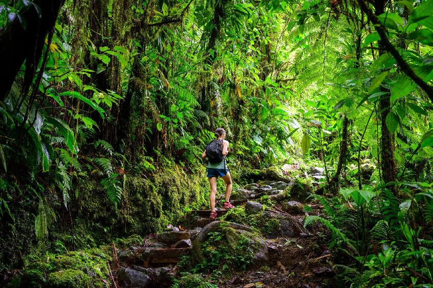 Comite Départemental Guadeloupéen de Randonnée Pédestre