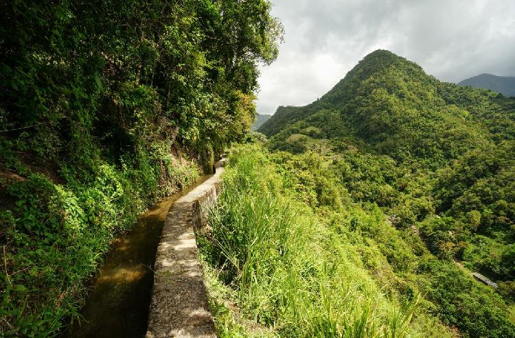 martinique-terre-de-randonnee