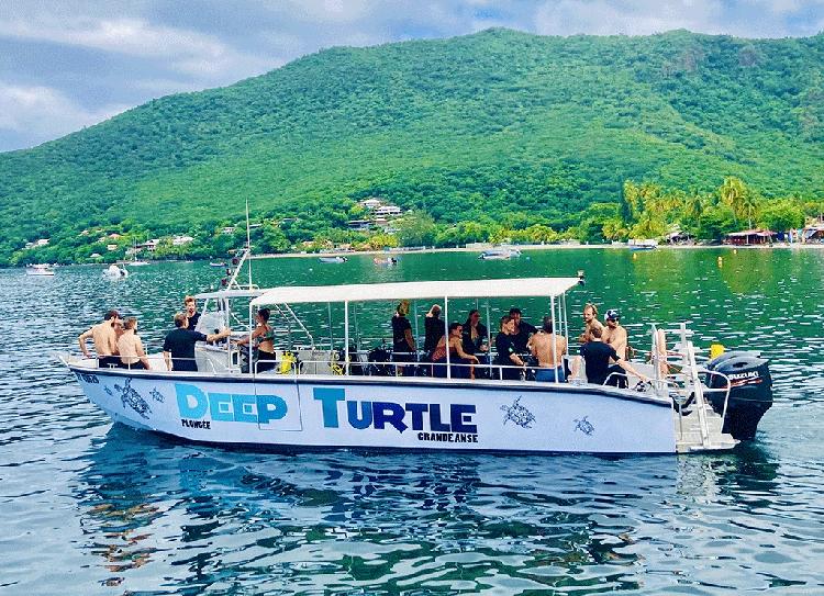 Deep Turtle Plongée