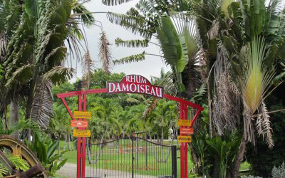 Distillerie Damoiseau