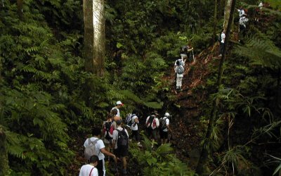 Martinique Terre de Randonnée 