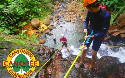 Canopée Forest Adventure