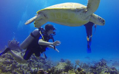 PPK Plongée Guadeloupe