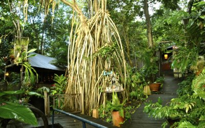 la-creole-beach-hotel-spa