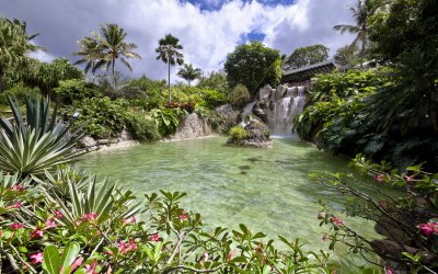 Jardin Botanique de Deshaies