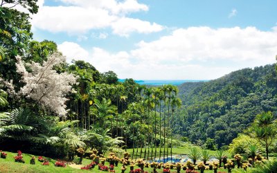 le-jardin-de-balata