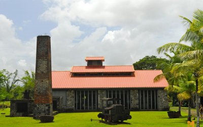 Maison de la canne