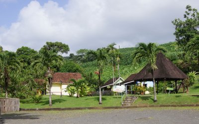 Musée de la banane