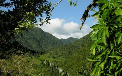 organisation-des-guides-de-montagne-de-la-caraibe