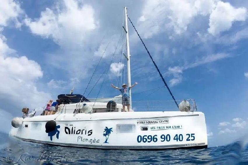 Aliotis est une structure créée en 2004 dans un hôtel en Martinique. 