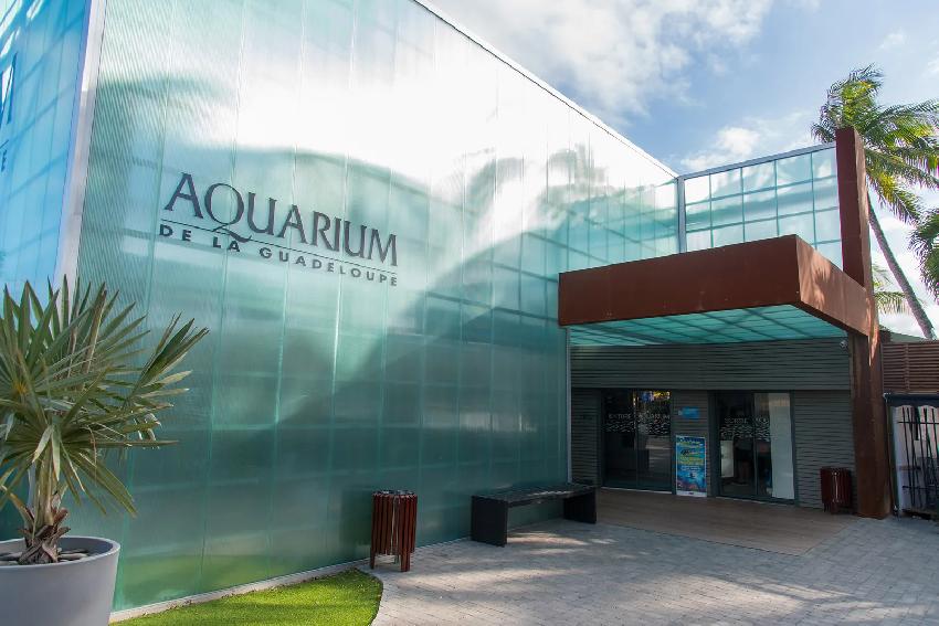 Aquarium de la Guadeloupe